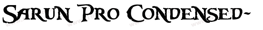 Sarun Pro Condensed字体转换